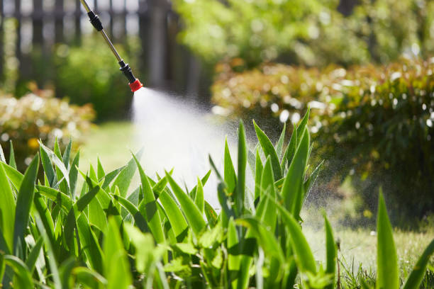 24/7 Emergency Wasp Removal experts in Princeville, IL